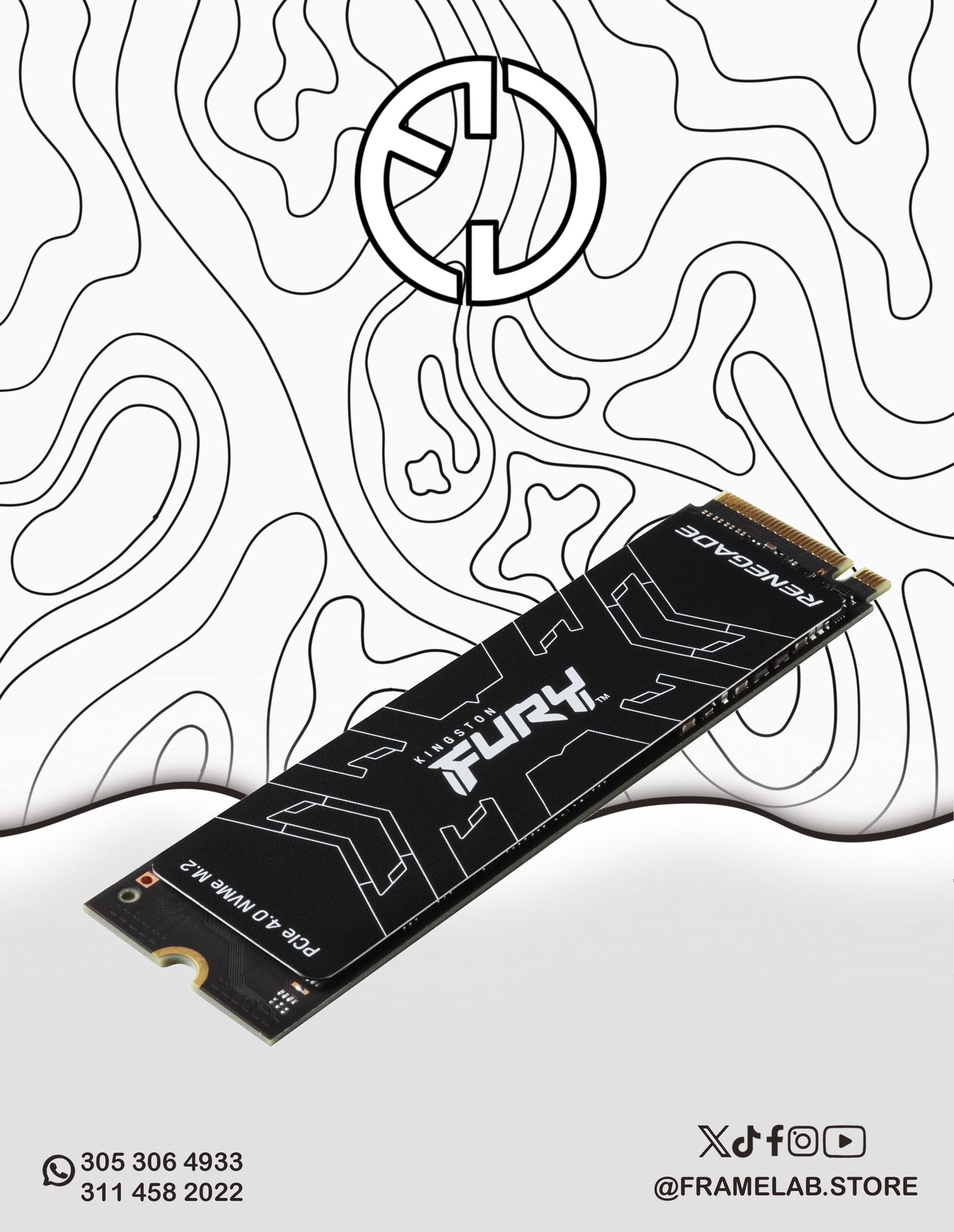 KINGSTON FURY RENEGADE 500GB