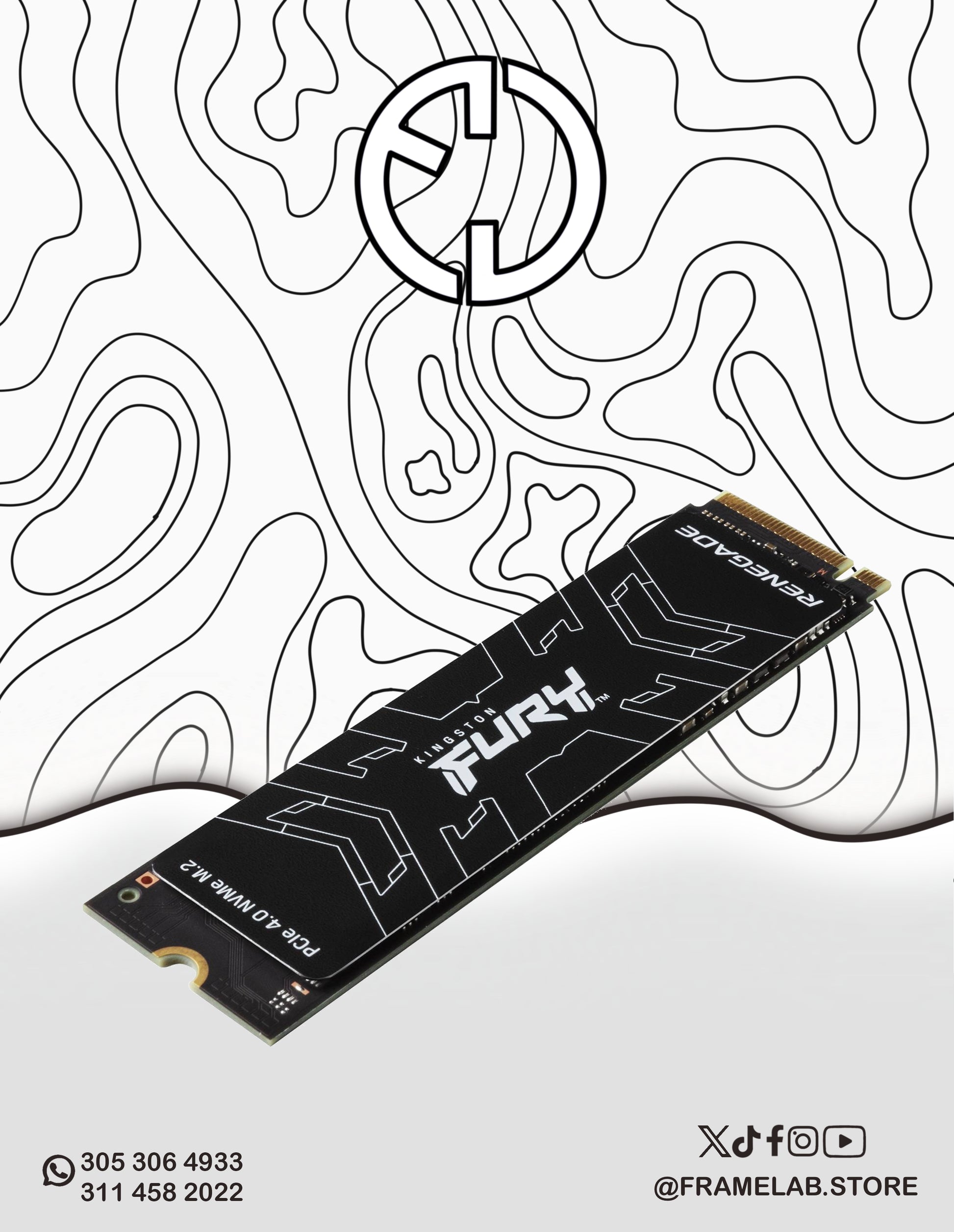 KINGSTON FURY RENEGADE 500GB